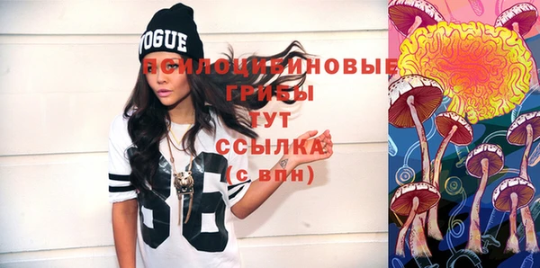 стафф Абинск