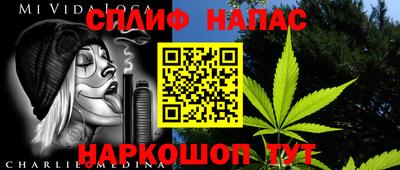 индика Бийск