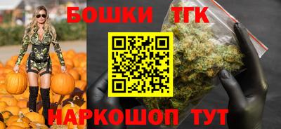 индика Бийск
