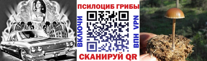 Псилоцибиновые грибы MAGIC MUSHROOMS  Клинцы 