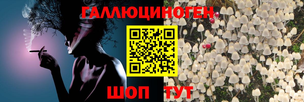 Галлюциногенные грибы GOLDEN TEACHER  Вход с VPN  Клинцы 