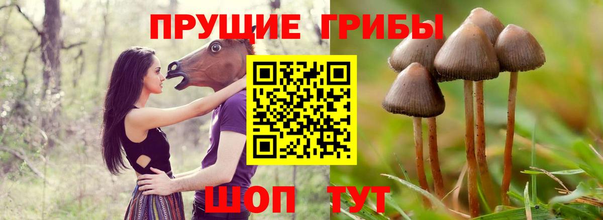 Галлюциногенные грибы Magic Shrooms Клинцы